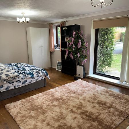 Stunning 2 Bedroom With Garden Sleep 6 Londres Extérieur photo